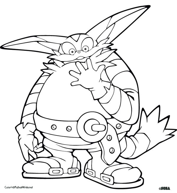 Big the cat sonic coloring page Sonic coloring pages printable games |  Hayden.anayelizavalacitycouncil.com