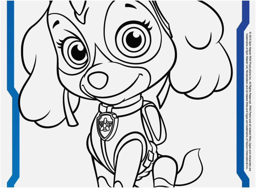 Paw Patrol Coloring Pages Pics Paw Patrol Skye Coloring Page ...