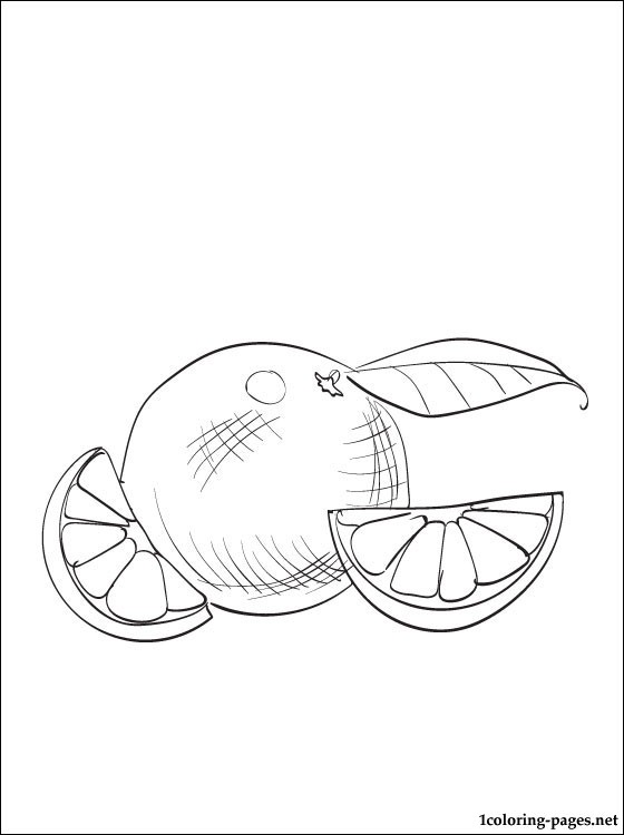 Orange coloring page for free | Coloring pages