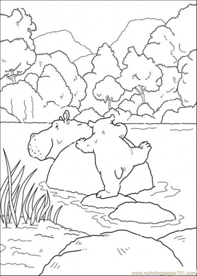 Polar Bear Want To Sit On Hippo Coloring Page - Free The Little ...