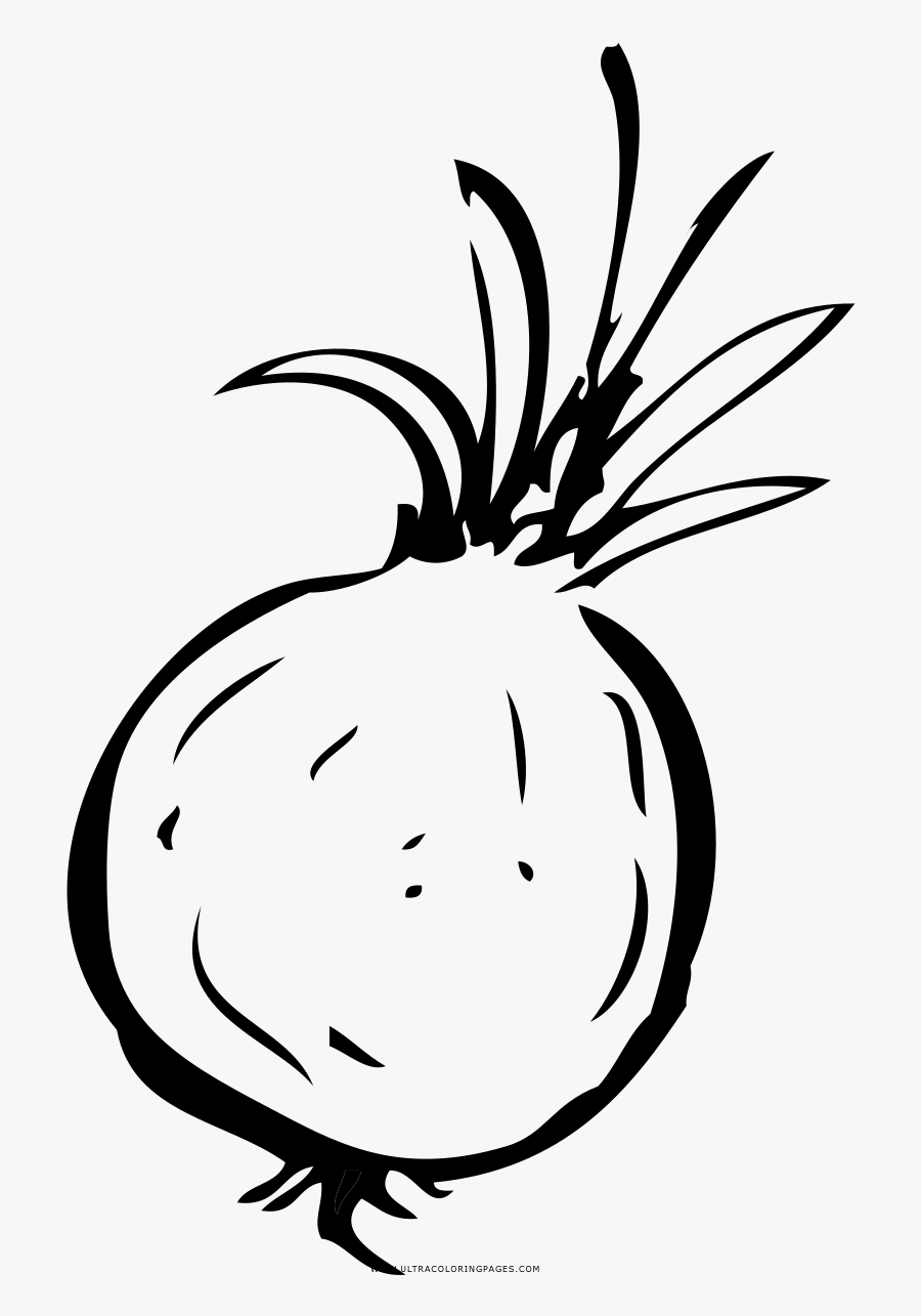 Onion Coloring Page - Line Art , Free Transparent Clipart - ClipartKey