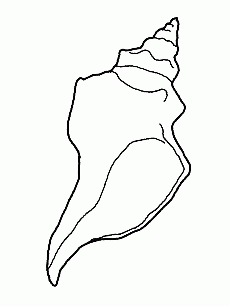 Seashell Coloring Pages (19 Pictures) - Colorine.net | 19310