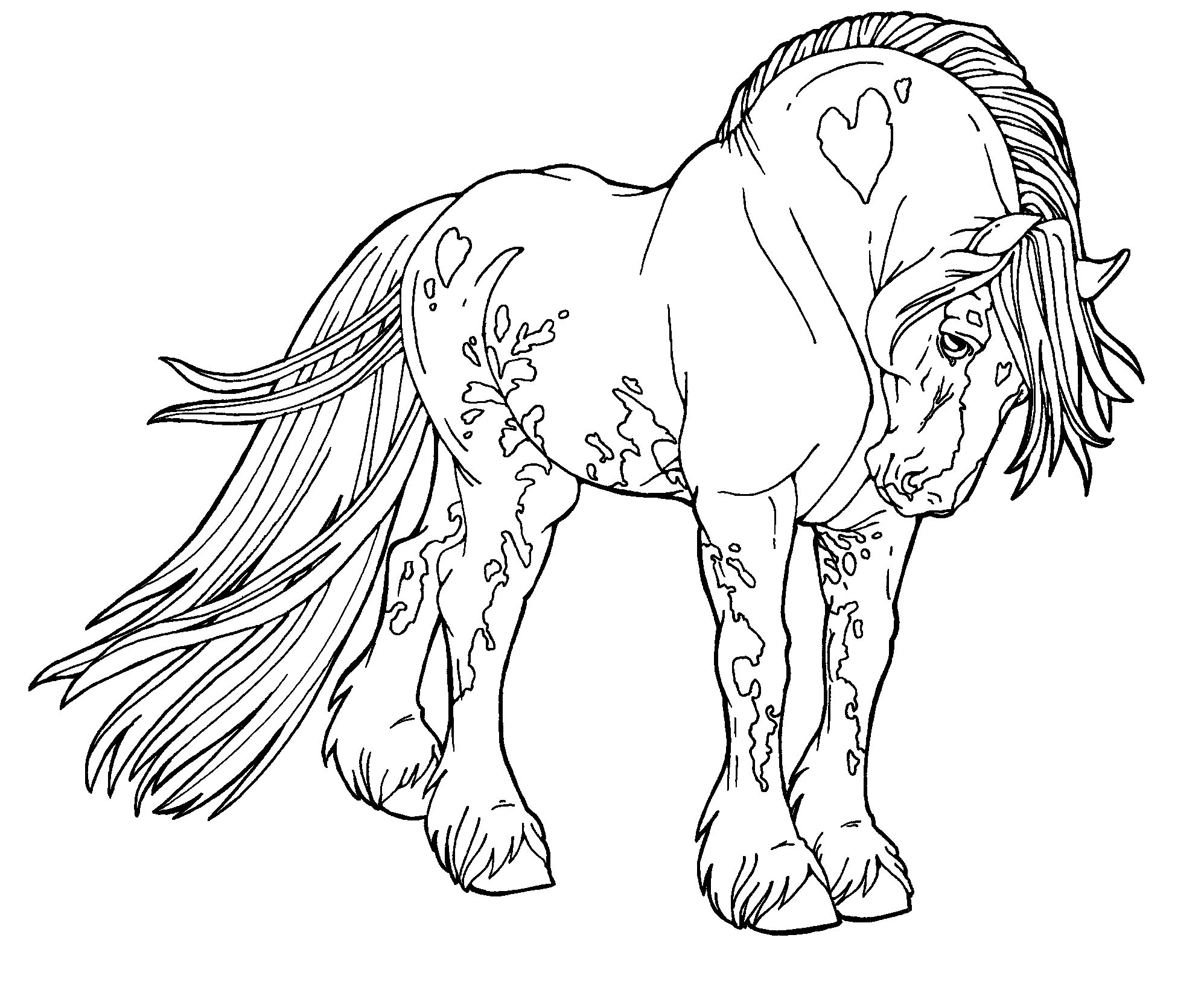 The best free Shire coloring page images. Download from 22 ...