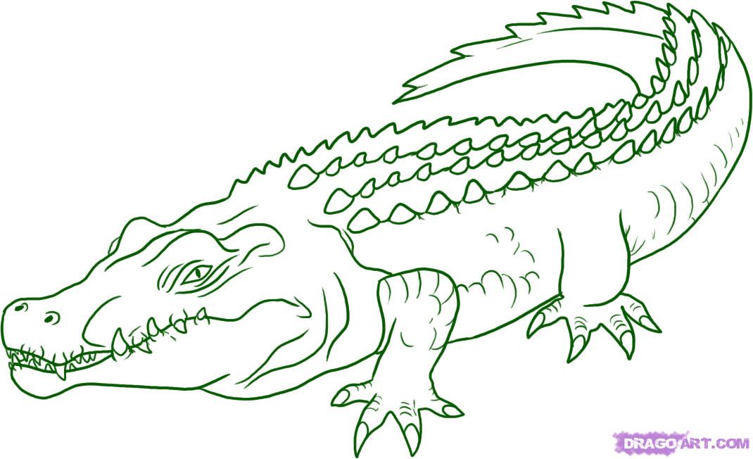 how-to-draw-a-crocodile-step-5.jpg