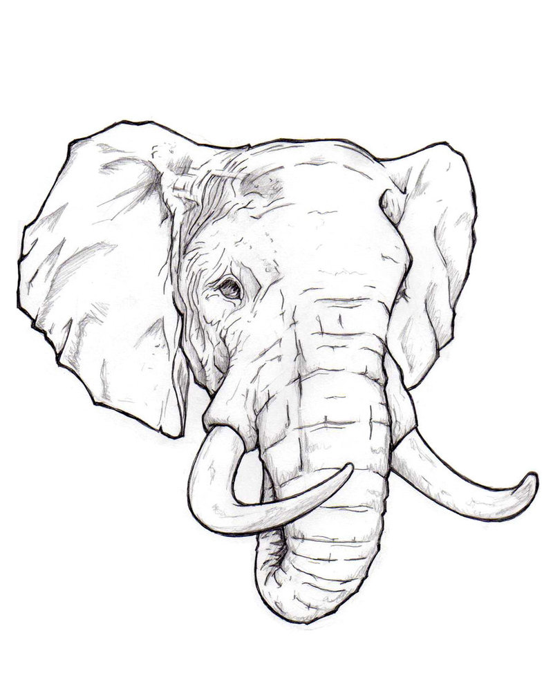 Elephant Face Coloring Page
