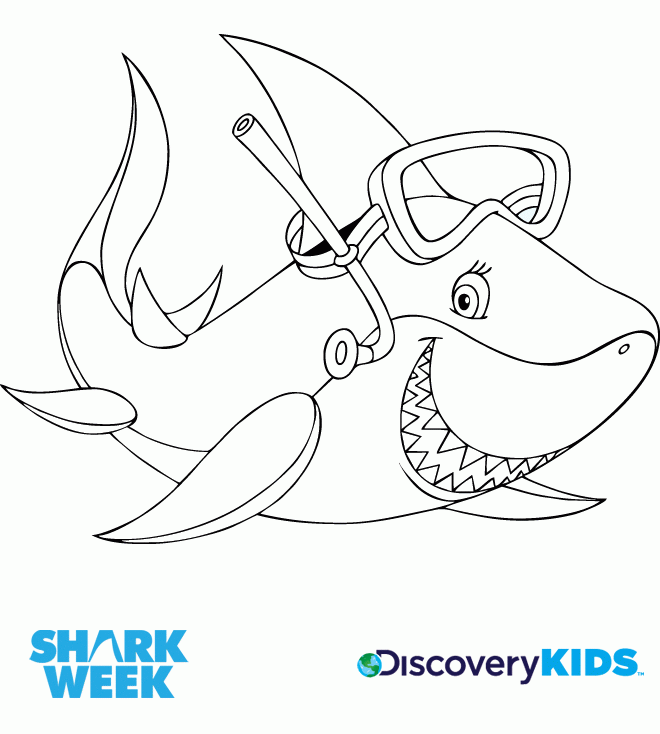 Sharks | Discovery Kids