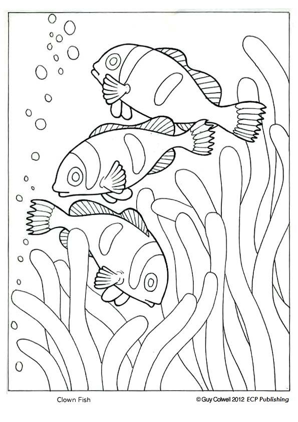 Clown Fish Coloring Pages Â« Animal Coloring Pages for Kids