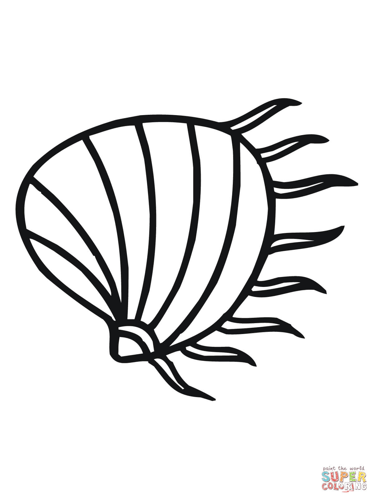 clam-coloring-pages-coloring-home