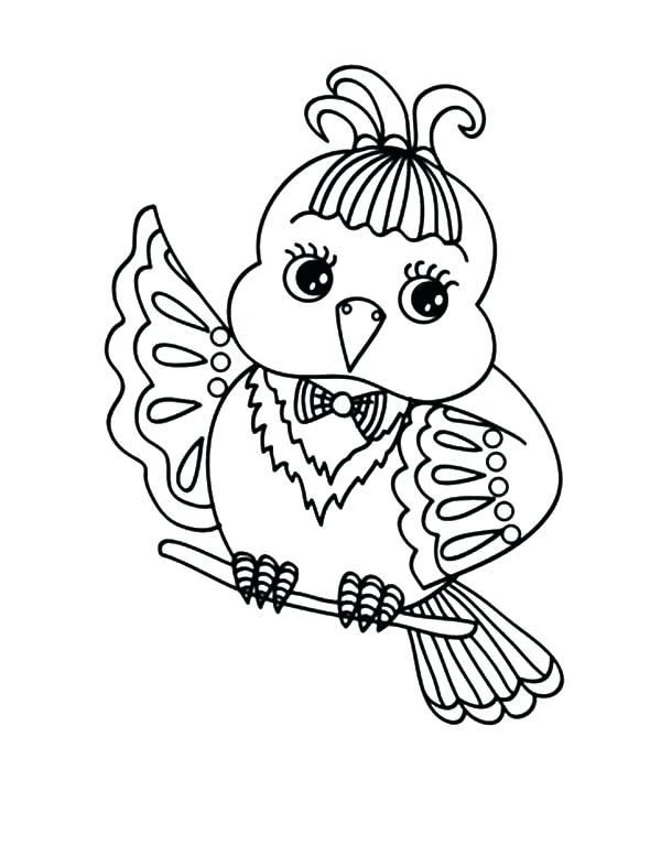 Cute Birds Coloring Pages