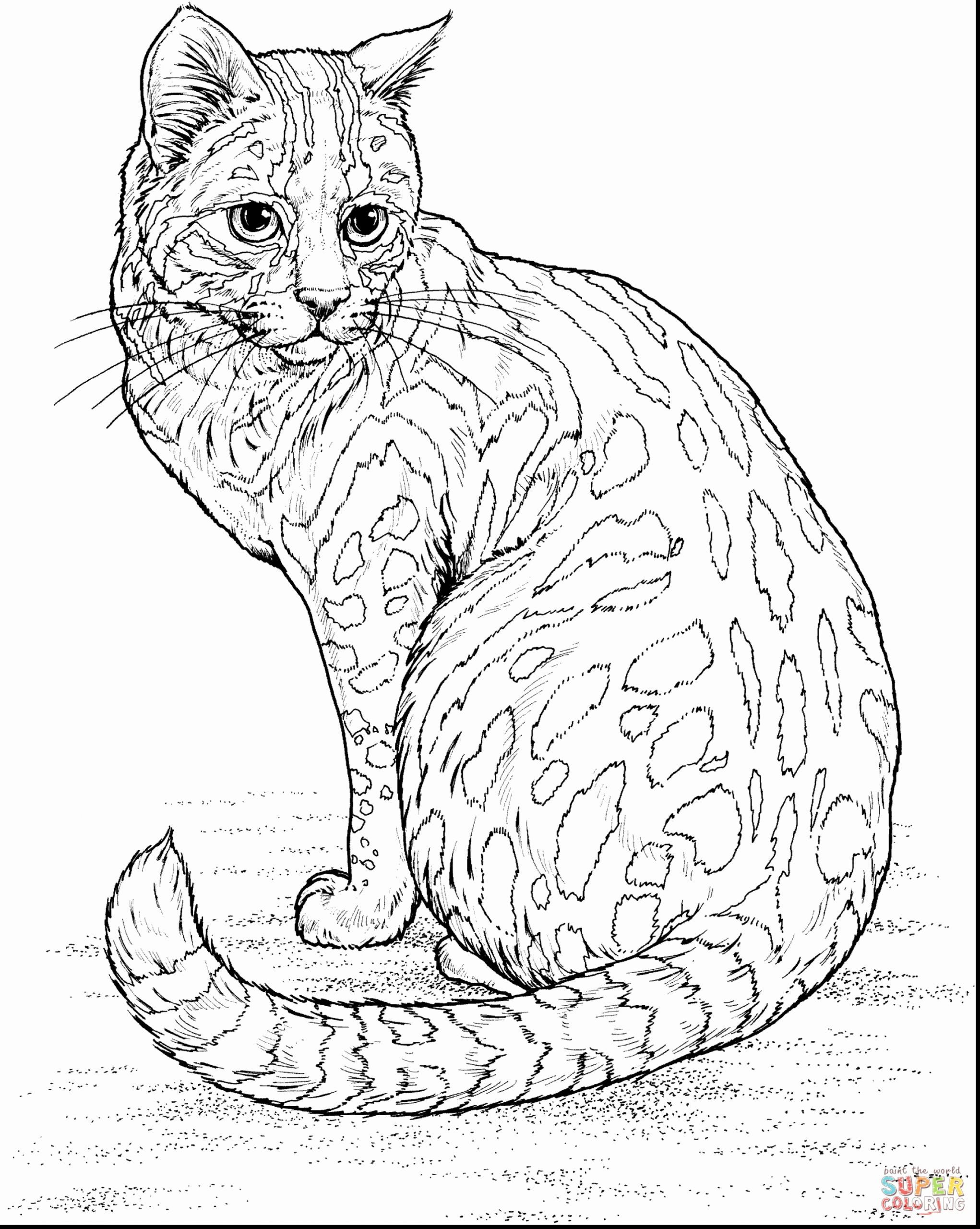 Wild Animal Coloring Page in 2020 | Cat coloring page, Dog coloring page, Cat  coloring book