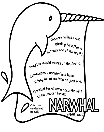 Narwhal Coloring Page | crayola.com