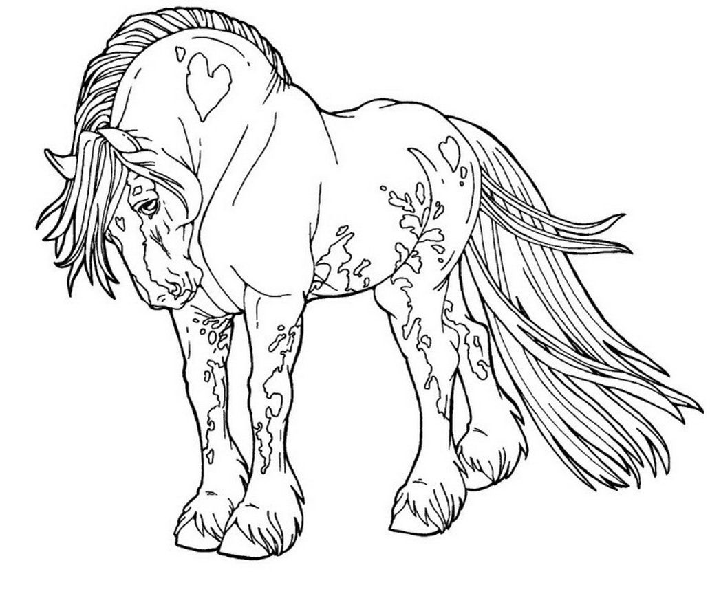 gypsy horse coloring pages - Clip Art Library