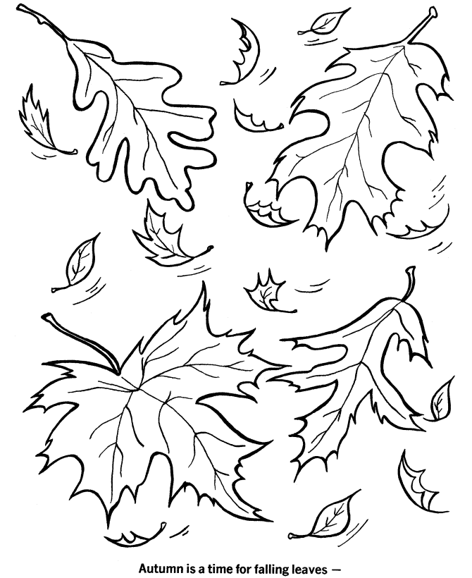 Autumn Coloring Pages For Preschool - Coloring Home