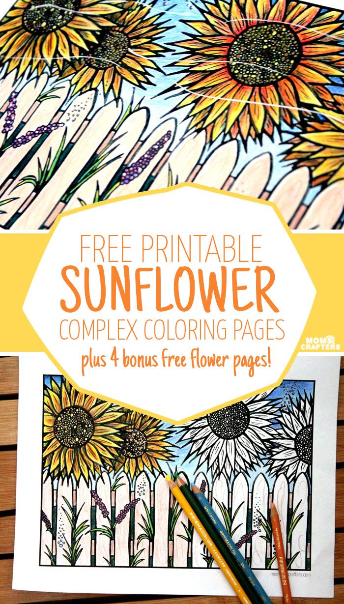 Free Flower Coloring Pages for Adults - Moms and Crafters