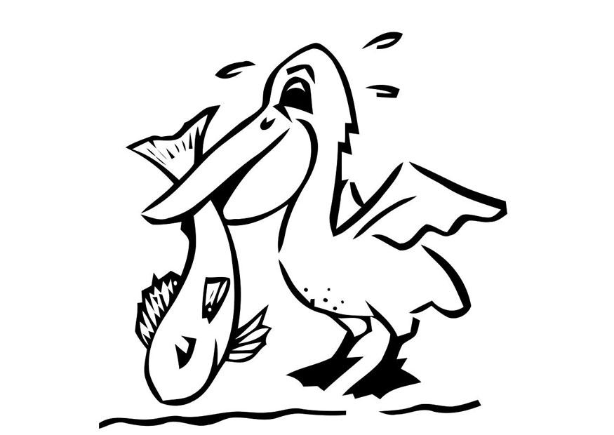 Coloring Page pelican with fish - free printable coloring pages