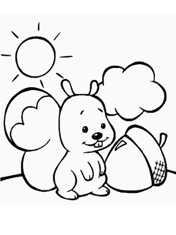 Cute Baby Squirrel And Oak Nut Coloring Page - Download & Print Online Coloring  Pages for Free | Color Nimbus