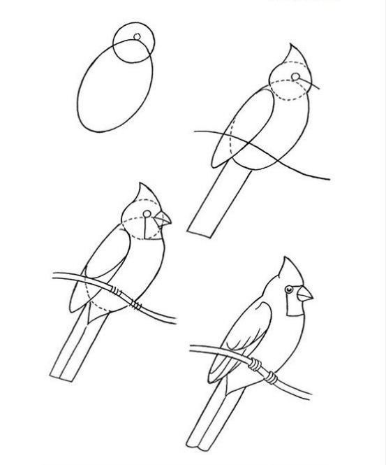 Cartoon, Birds and Cute cartoon