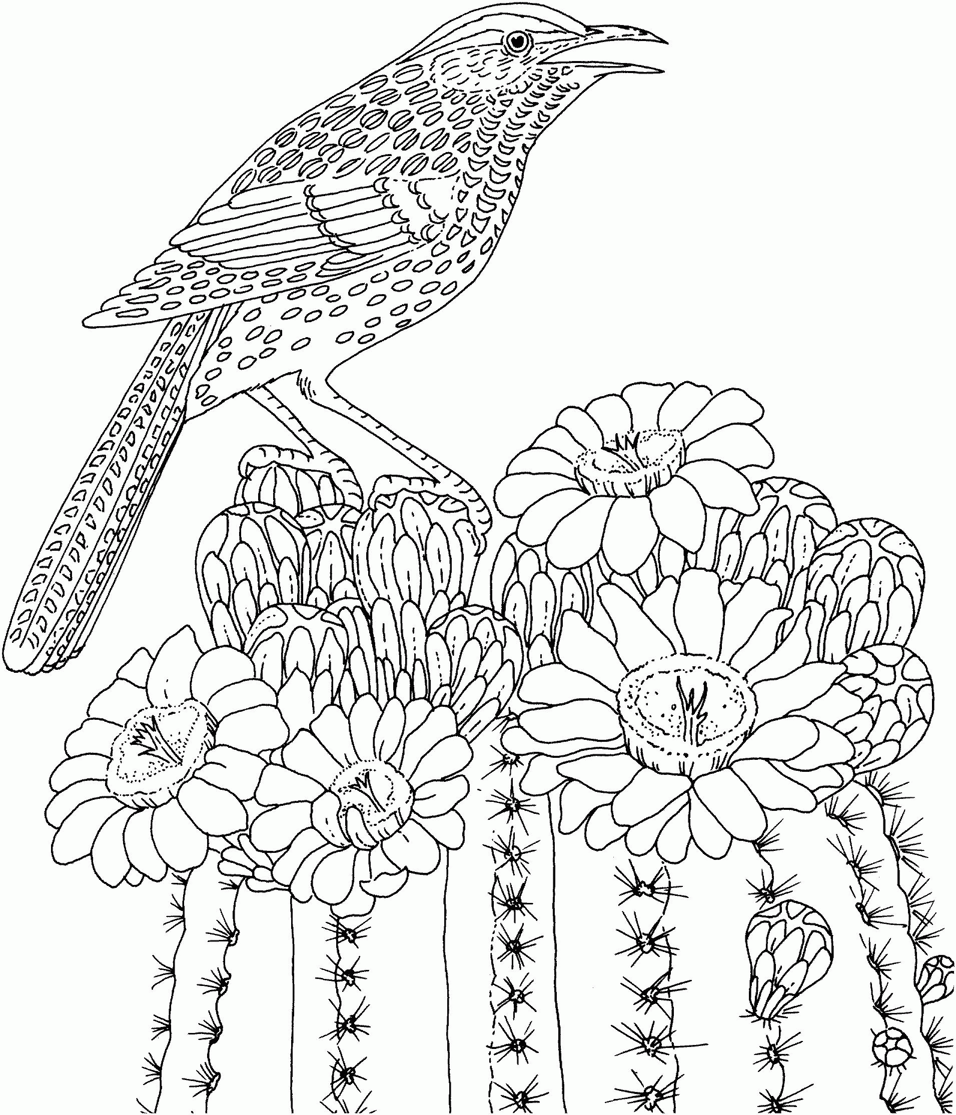 Ordinary Animals Printable Coloring Pages #8 - Hard Coloring Pages ...