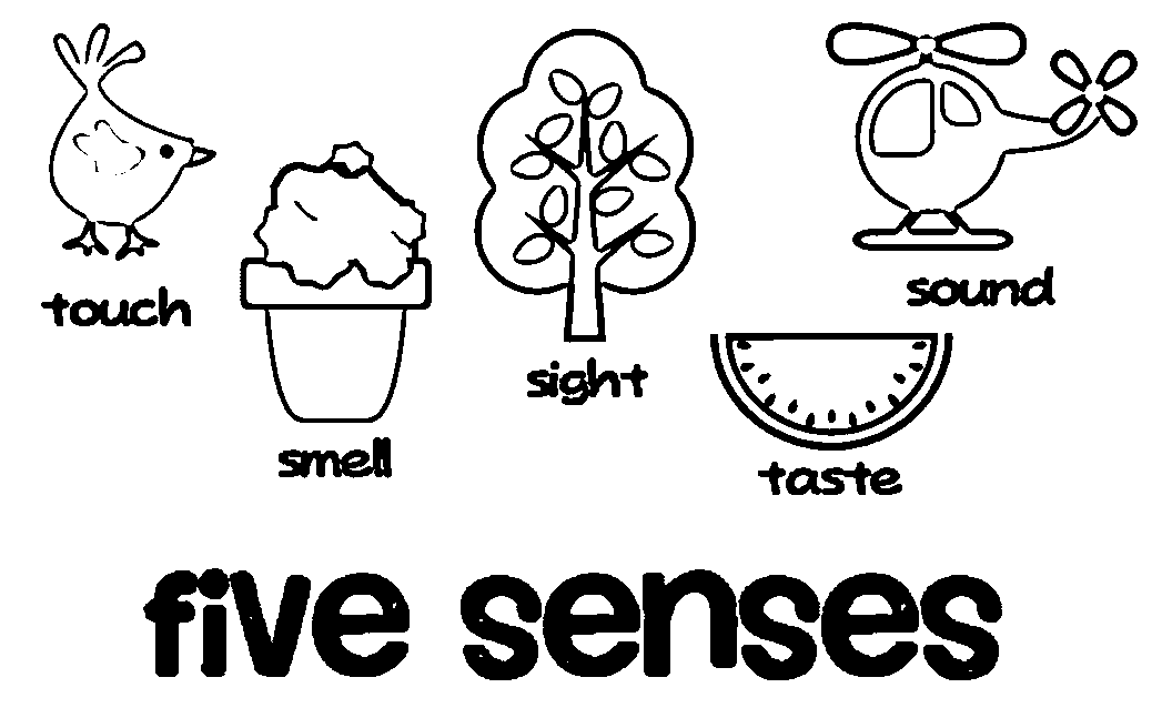 5 Senses Coloring Page | Wecoloringpage
