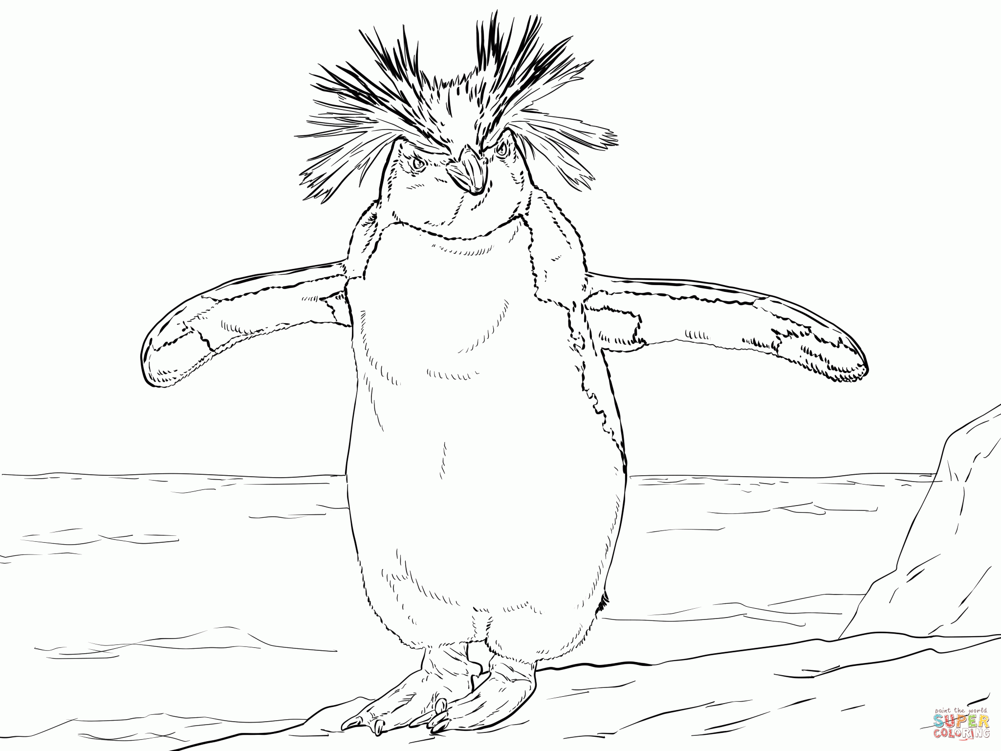 Penguin Coloring Page (19 Pictures) - Colorine.net | 24928