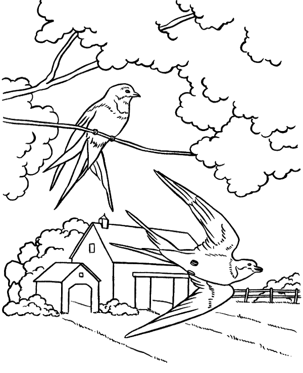 Printable countryside coloring page - Topcoloringpages.net