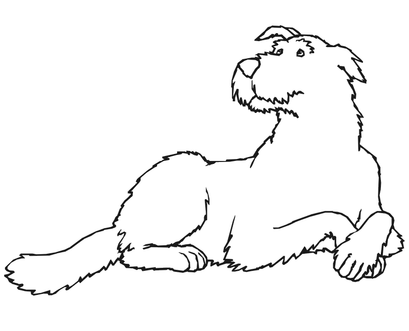 Dog Coloring Page | Fluffy Dog Laying Down