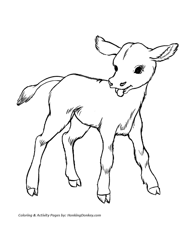 Cow Coloring Pages | Printable Cute baby calf coloring page ...