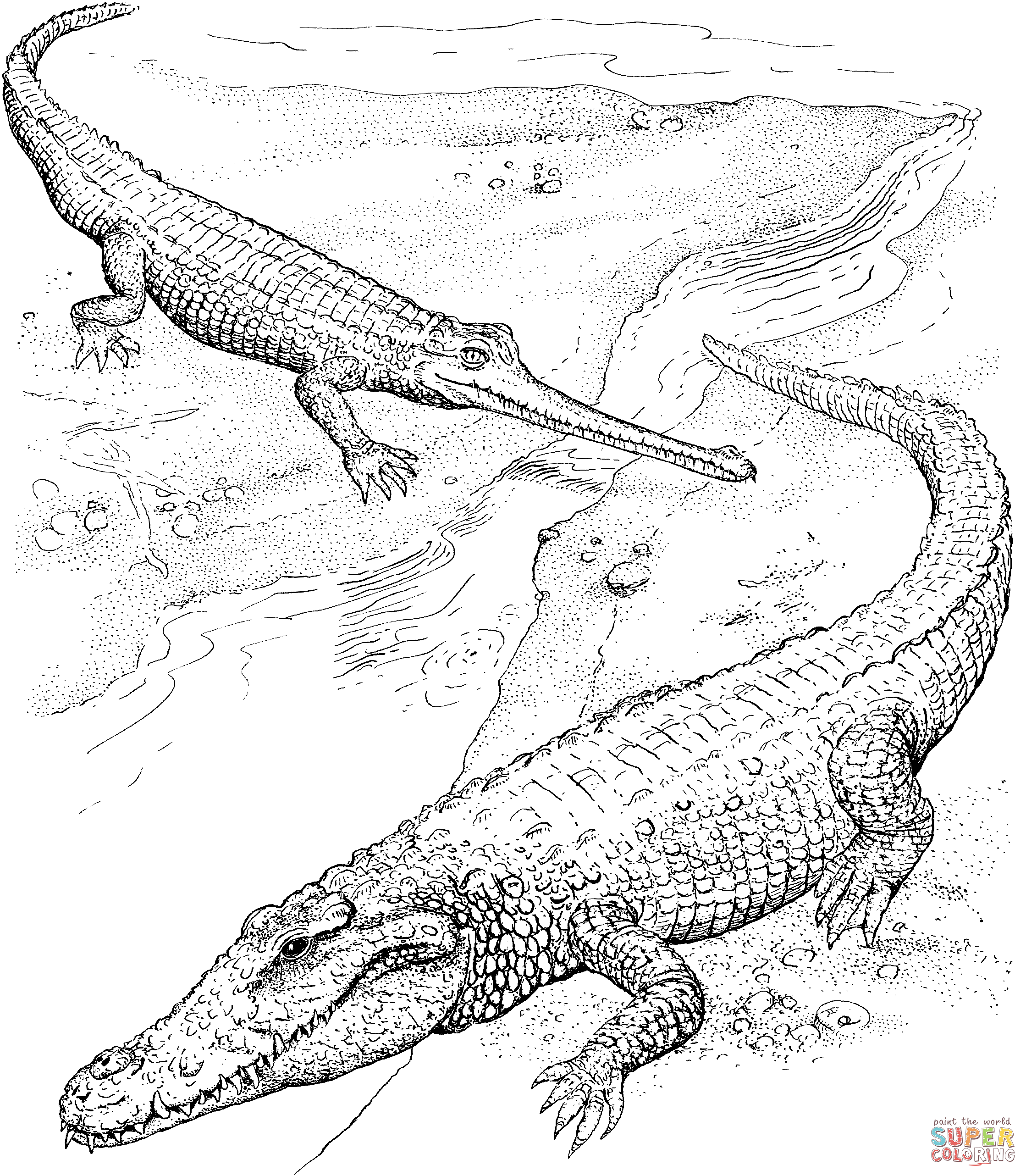 Realistic Crocodile Coloring Pages