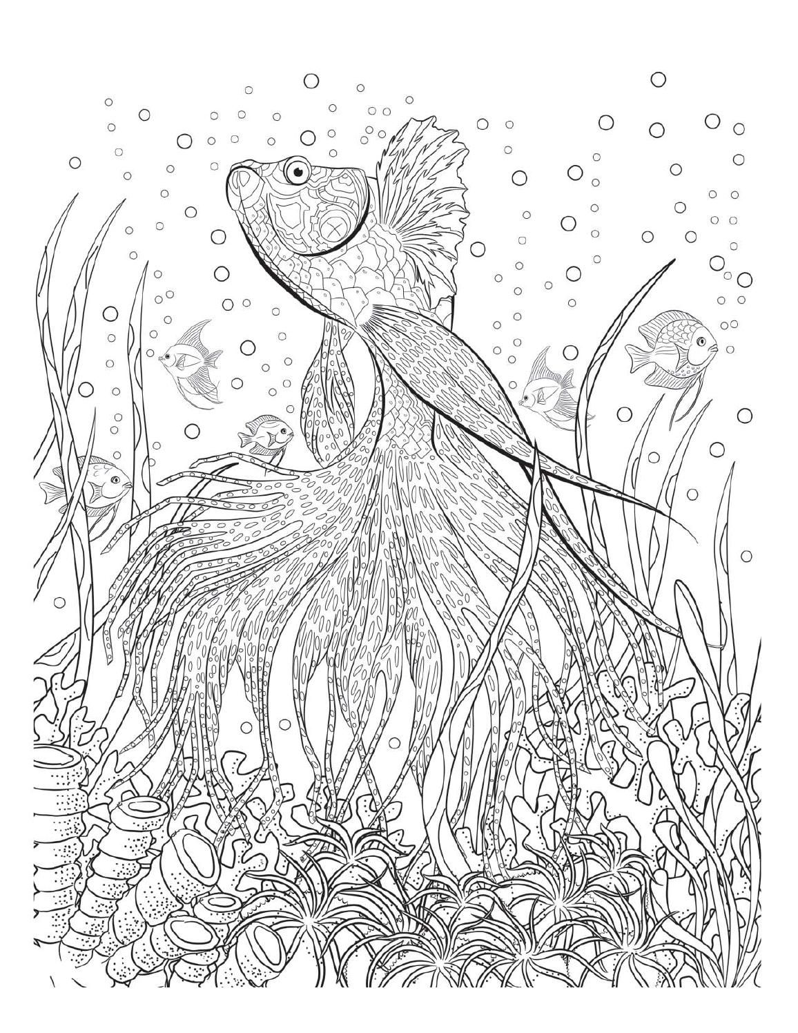 Under Water Coloring Pages Coloring Home