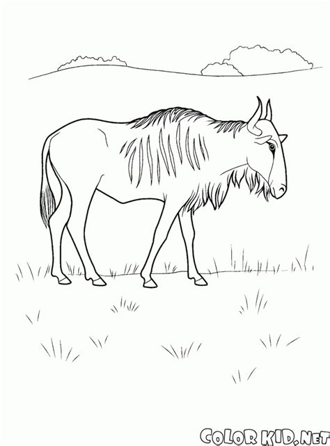 Wildebeest Colouring Pages - Free Colouring Pages
