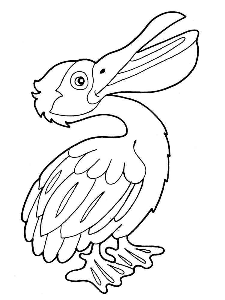 Pelican coloring pages. Download and print Pelican coloring pages