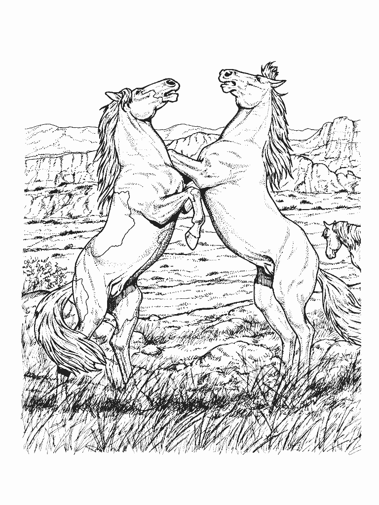 Free Printable Realistic Horses Coloring Page