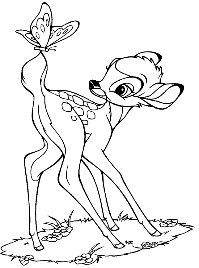 free-animals-Gazelle-and-butterfly-printable-coloring-pages-for-preschool |  Butterfly coloring page, Deer coloring pages, Cartoon coloring pages