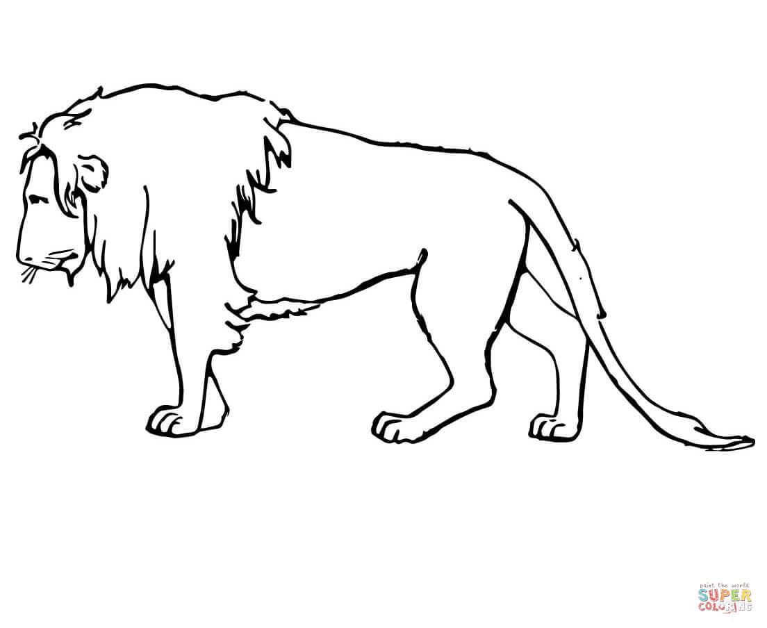 Lions coloring pages | Free Coloring Pages