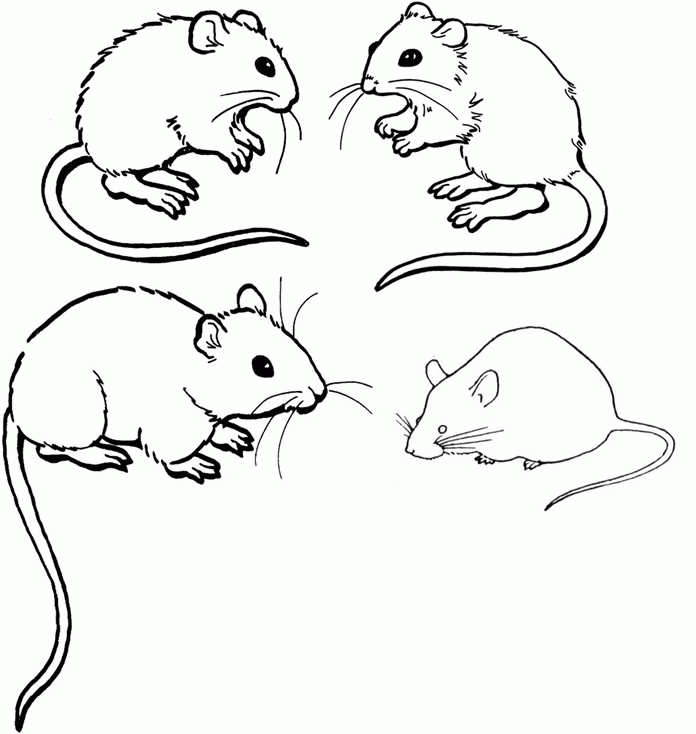 11 Pics of Mouse Coloring Pages For Kids - Mouse Coloring Pages ...