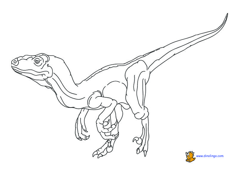 Dinosaur coloring pages | Dino Lingo Blog