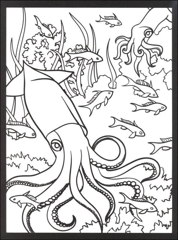 Coral Reef Coloring Pages. Coral Reef Fish Colouring Pages. Great ...