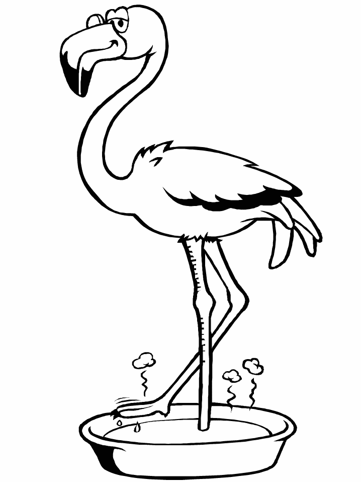 Printable Birds Flamingo Animals Coloring Pages - Coloringpagebook.com