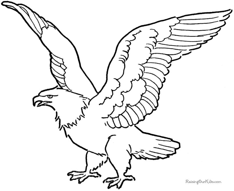 Eagle Coloring Page Images & Pictures - Becuo