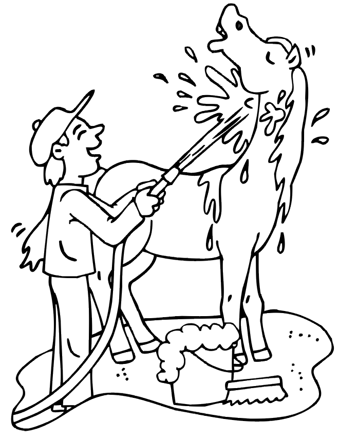 Horse Coloring Page | Horse And Cowboy In Water