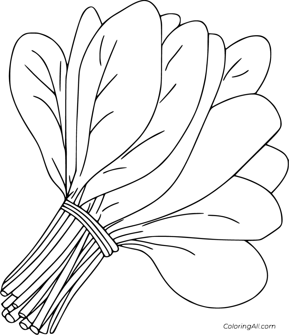 4 free printable Spinach coloring pages in vector format, easy to print  from any device and automaticall… | Vegetable coloring pages, Coloring pages,  Coloring books