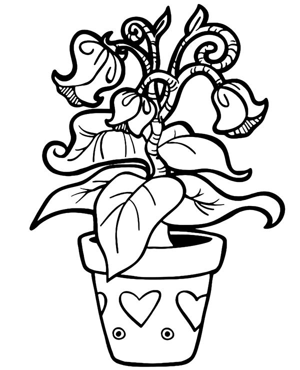 A flower in a pot to color