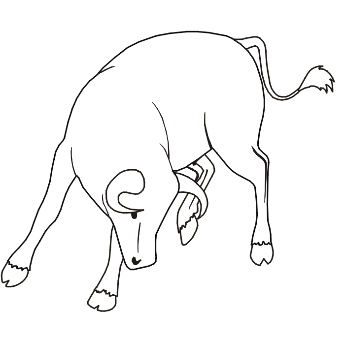 Bull coloring pages to download and print for free
