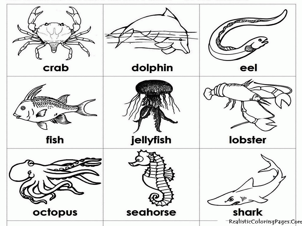 Coloring Pages Of Sea Animals Printable - Coloring ...
