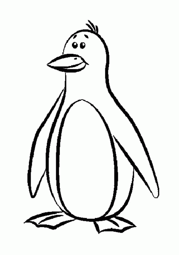 Related Penguin Coloring Pages item-11764, Penguin Coloring Pages ...