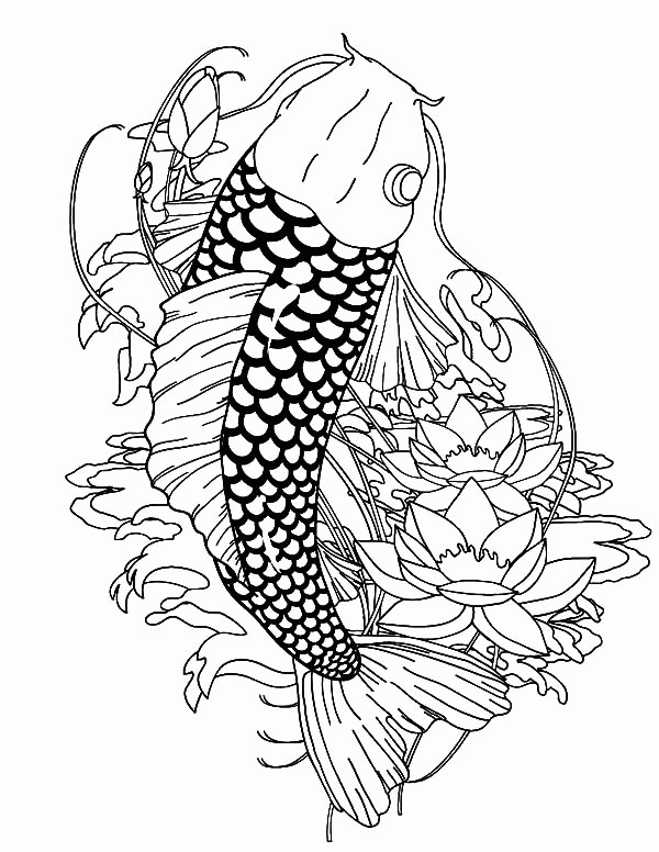Koi Fish Coloring Page - Coloring Pages for Kids and for Adults