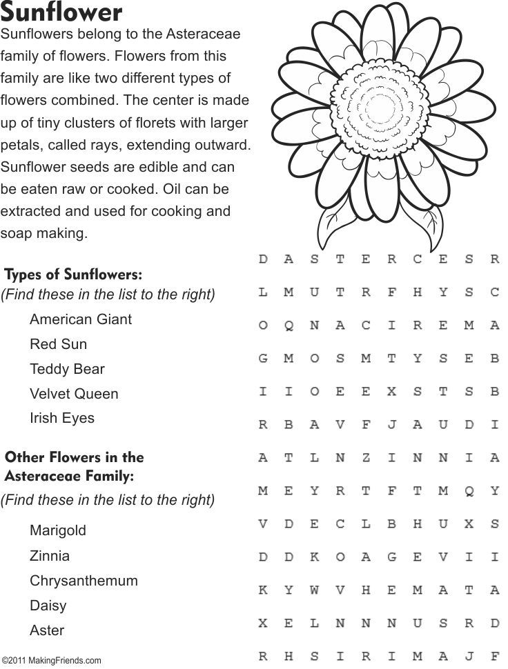 Sunflower Fact and Word Search Page | Coloring Pages | Pinterest ...