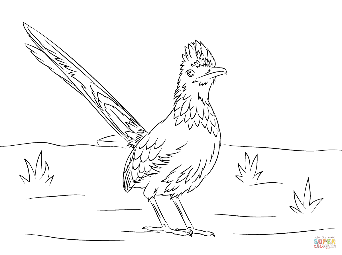 Roadrunner coloring pages | Free Coloring Pages
