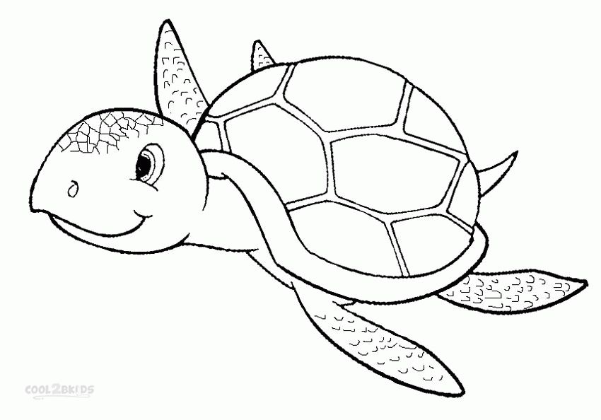 9 Pics of Printable Turtle Coloring Pages For Kids - Cartoon ...