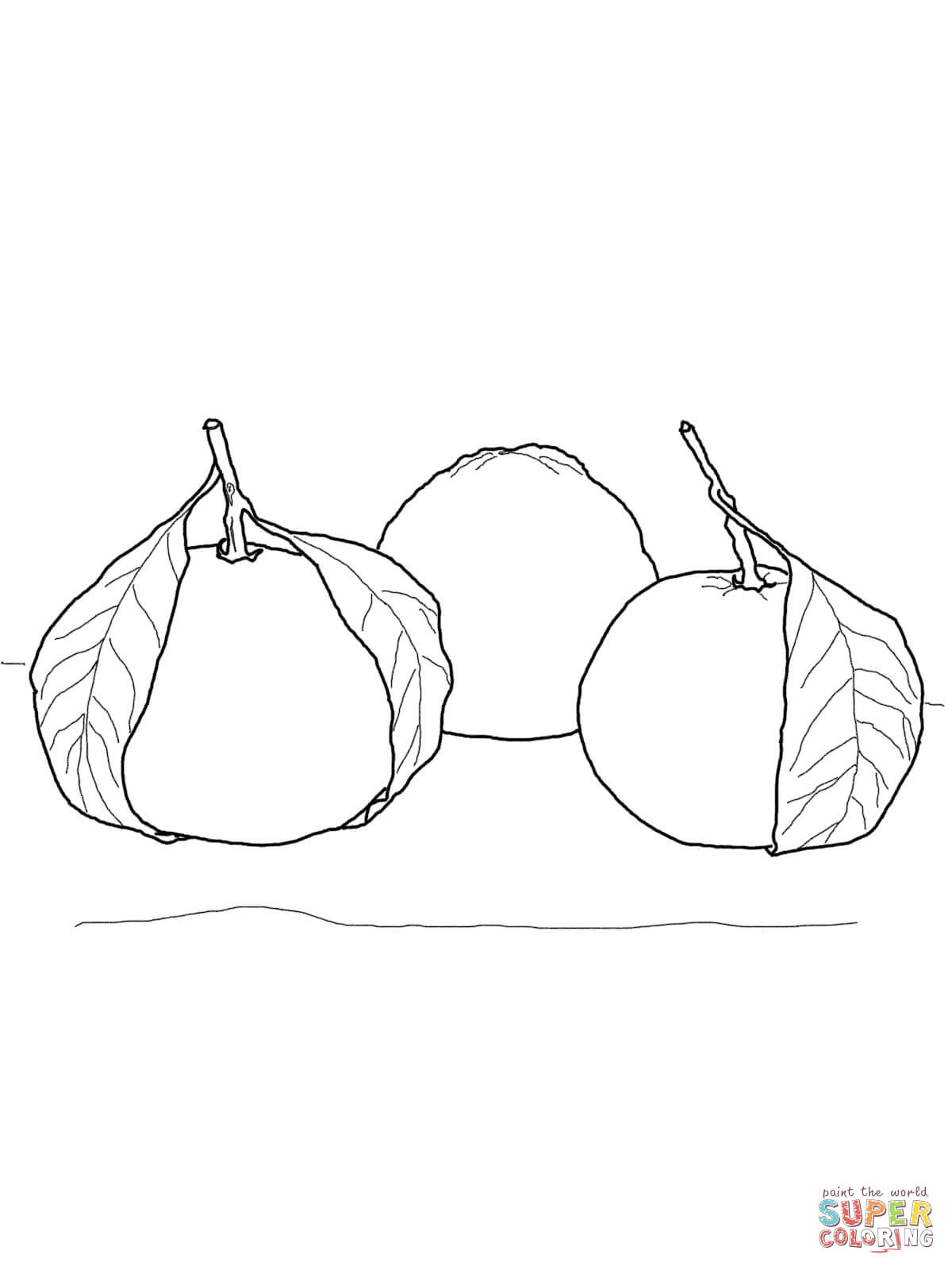 Oranges coloring pages | Free Coloring Pages